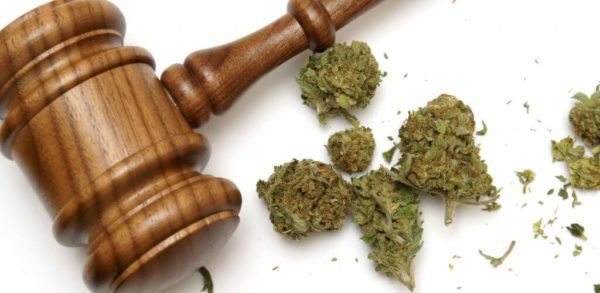 Marijuana Laws Affecting the Workplace: Tools Employers Can Use to Stay Ahead During High Times